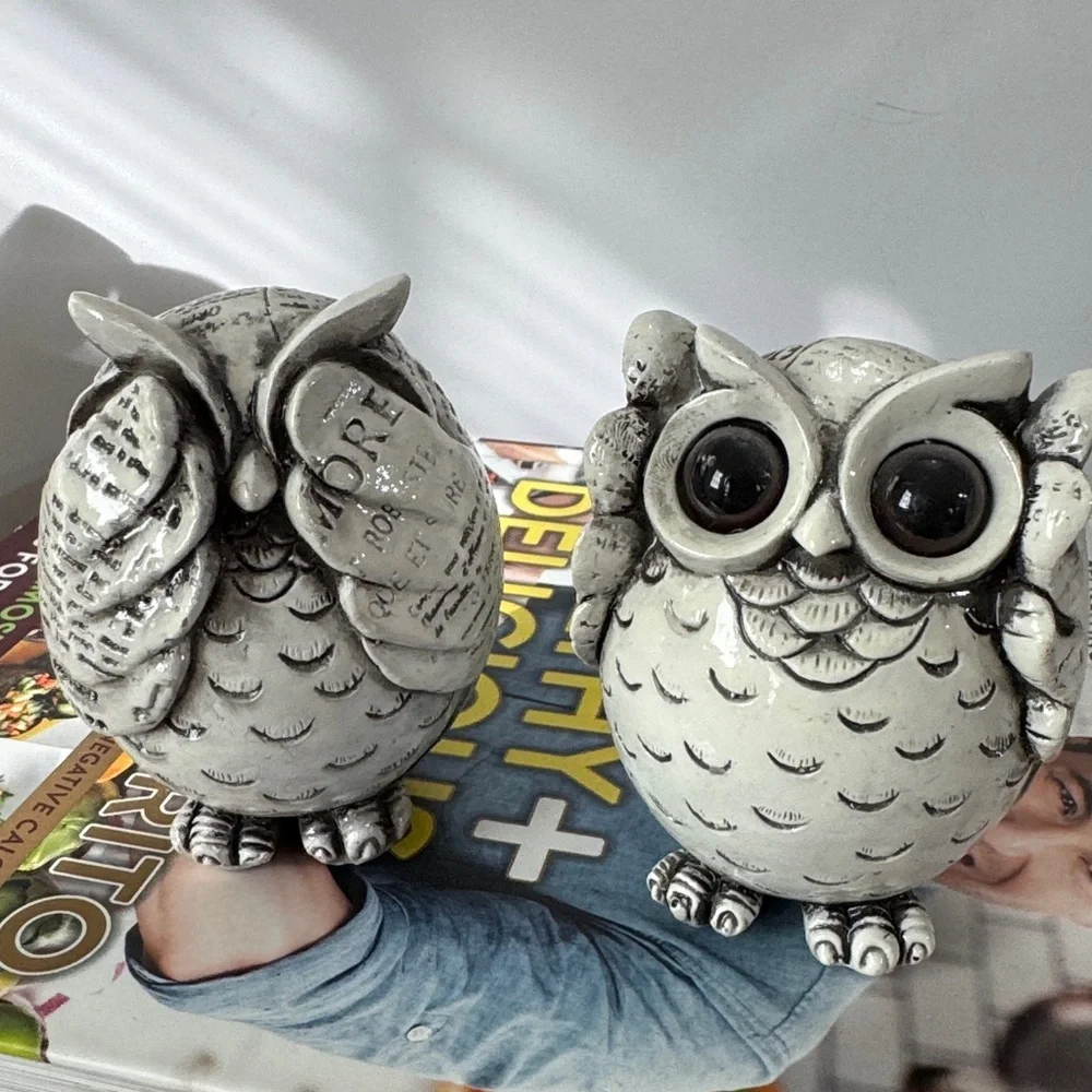 FAMICOZY Owl Figurine. Mini Cute Owl. Adorable Decoration for Home Set of 2
